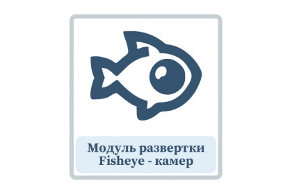 Модуль развертки Fisheye-камер